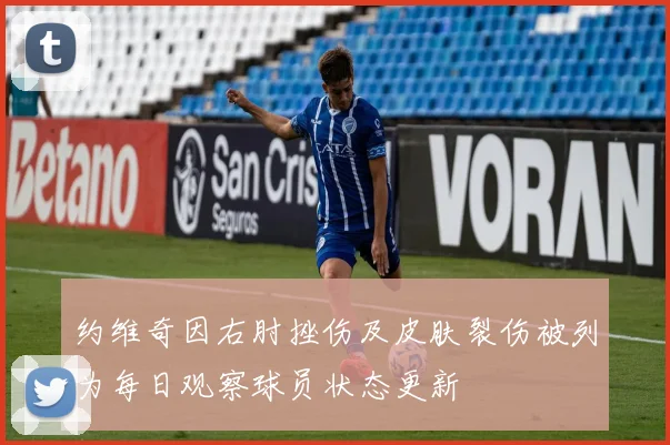 约维奇因右肘挫伤及皮肤裂伤被列为每日观察球员状态更新