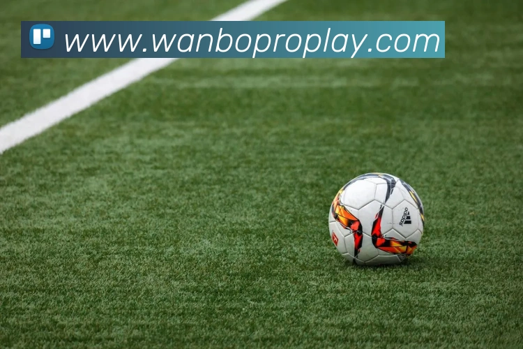 万博体育品牌故事