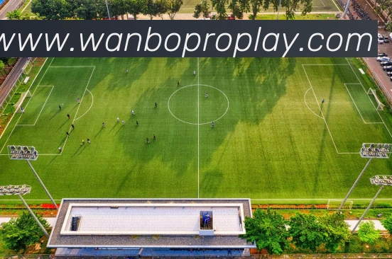 万博体育服务体系